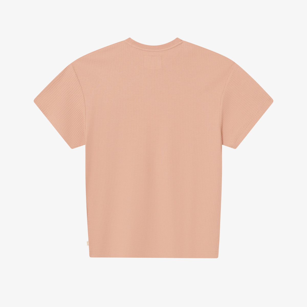 BLKVIS SCRIPT POINTELLE TEE - CAFE AU LAIT