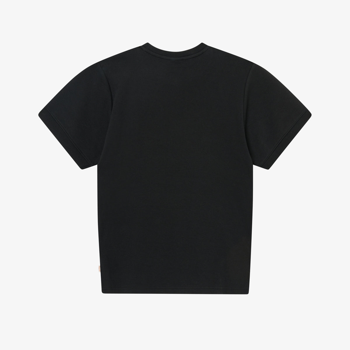 SCIRPT FITTED TEE - BLACK