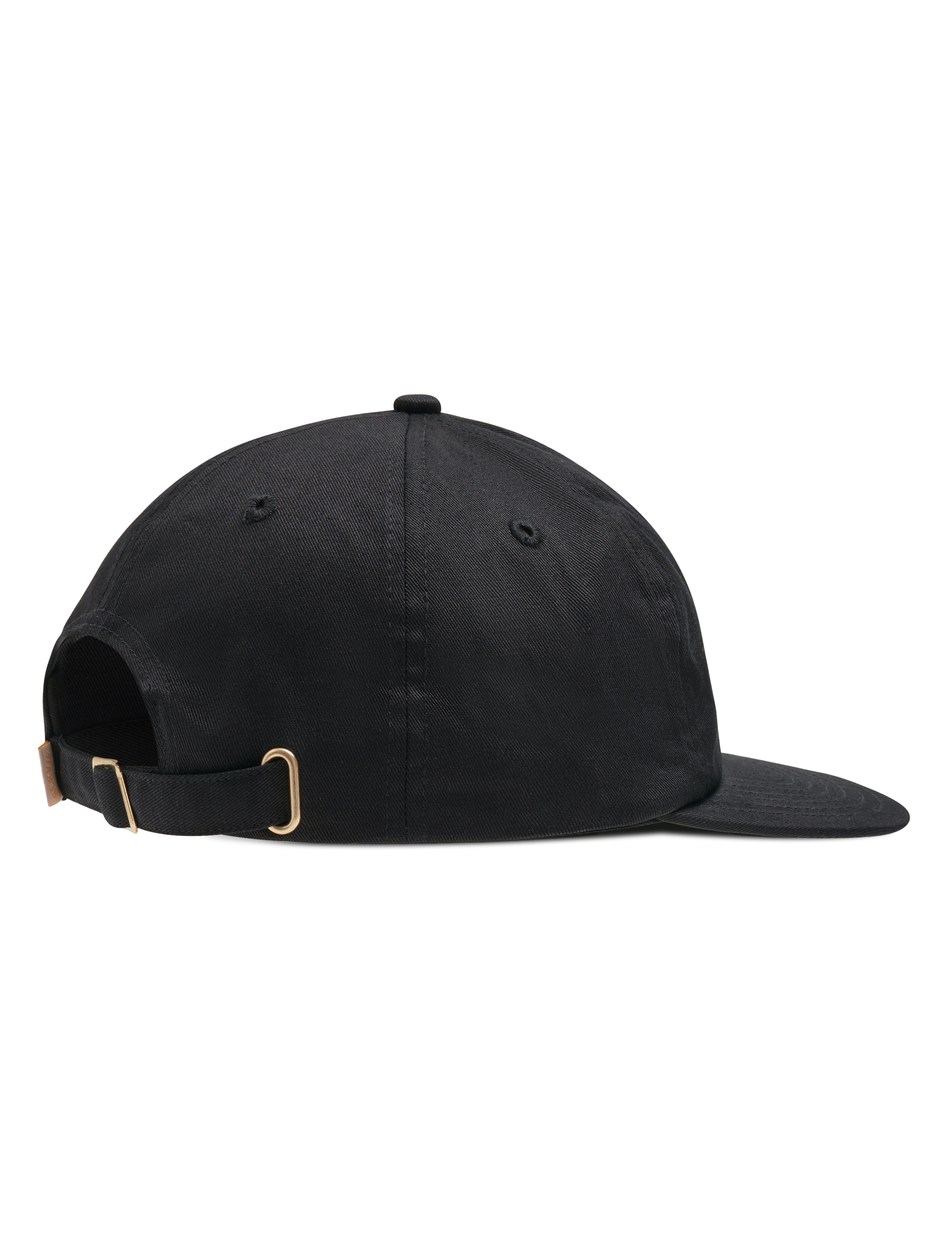 BLKVIS SCRIPT ROSES CAP - BLACK