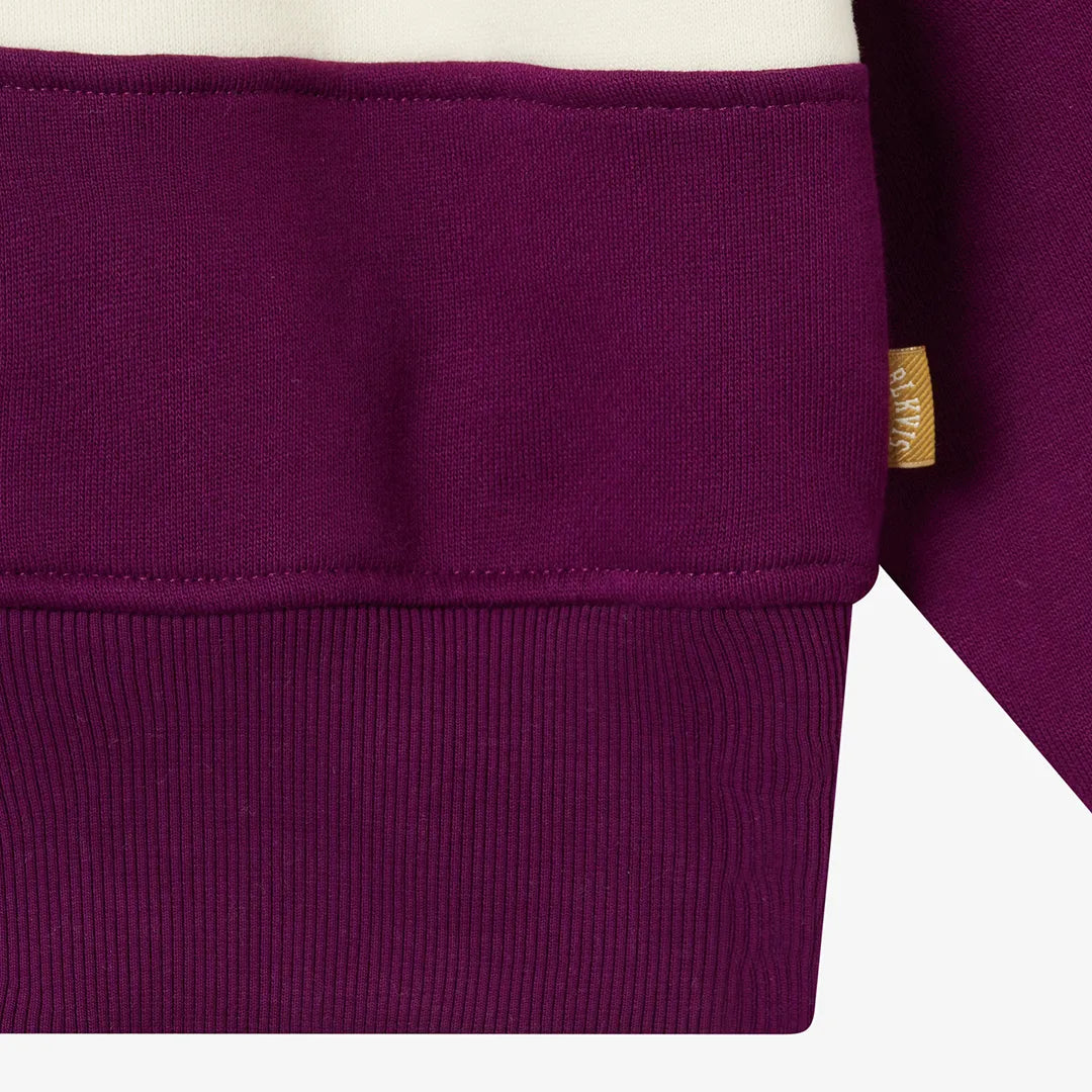COLOR BLOCK HALF ZIP - DARK PURPLE